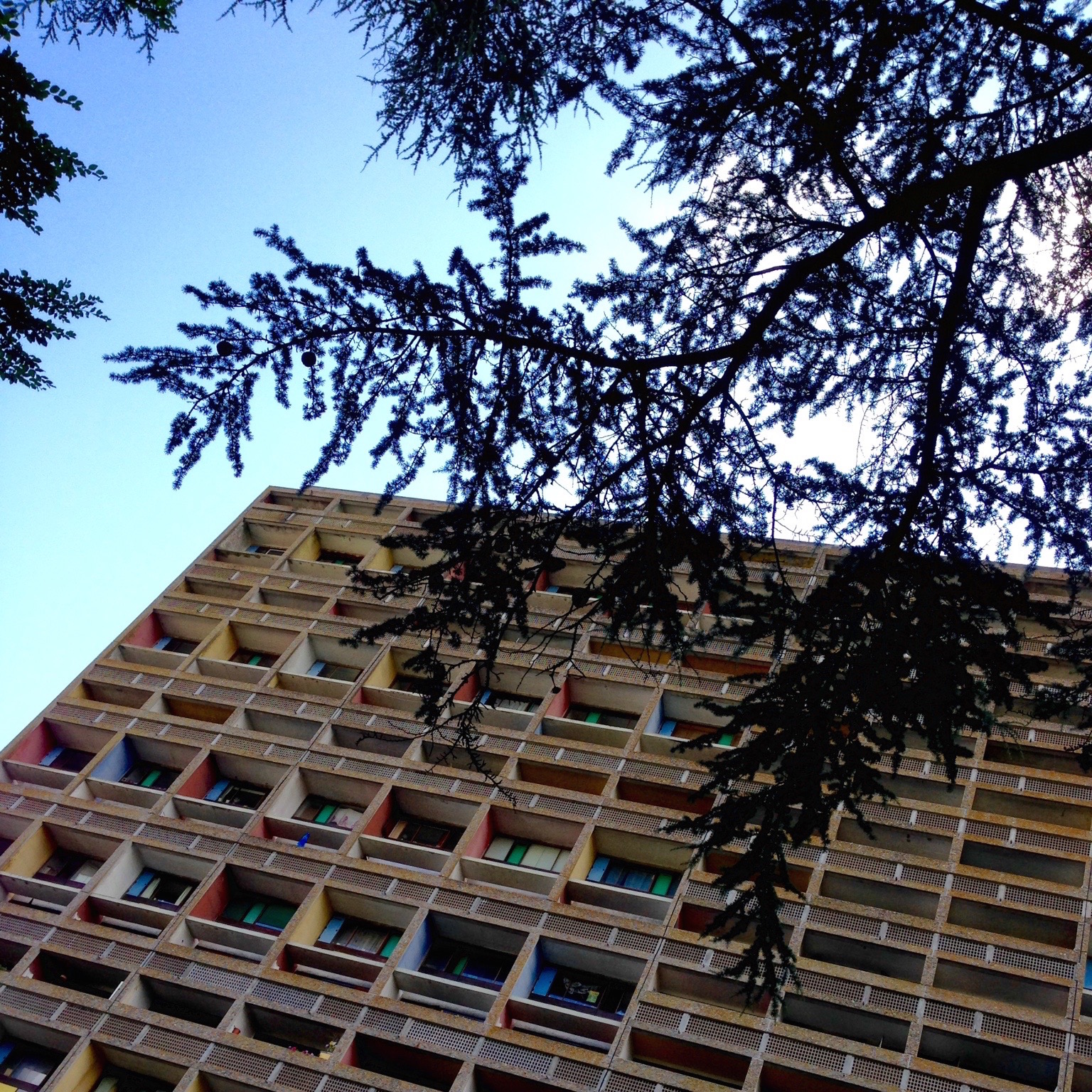 Une seconde vue qui met en évidence les balcons ; avec une branche au premier plan.