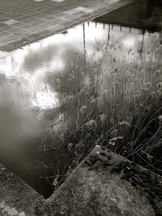 Cale des sous-marins